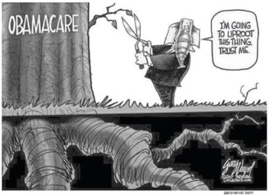 Obamacare Roots cartoon