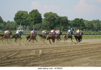 thoroughbred-race-horses-heading-down-the-backstretch-during-a-race-b15ee6